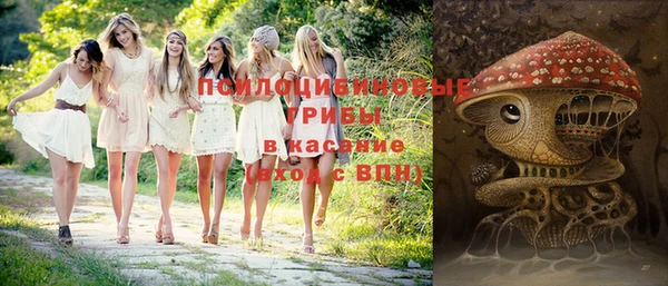 гидра Балахна