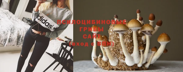 хмурый Балабаново