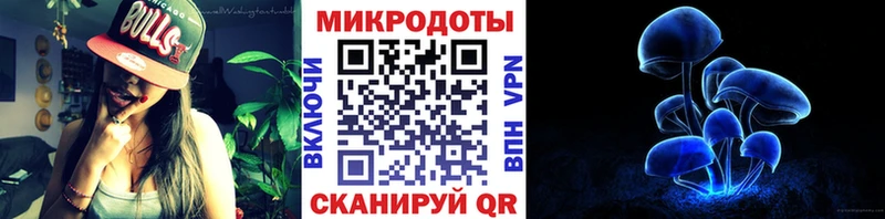 Псилоцибиновые грибы Magic Shrooms где купить наркоту Купино